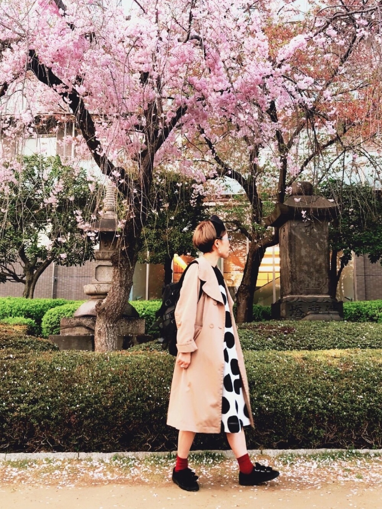 Dot＆Stripes CHILD WOMAN（ドットアンドストライプス