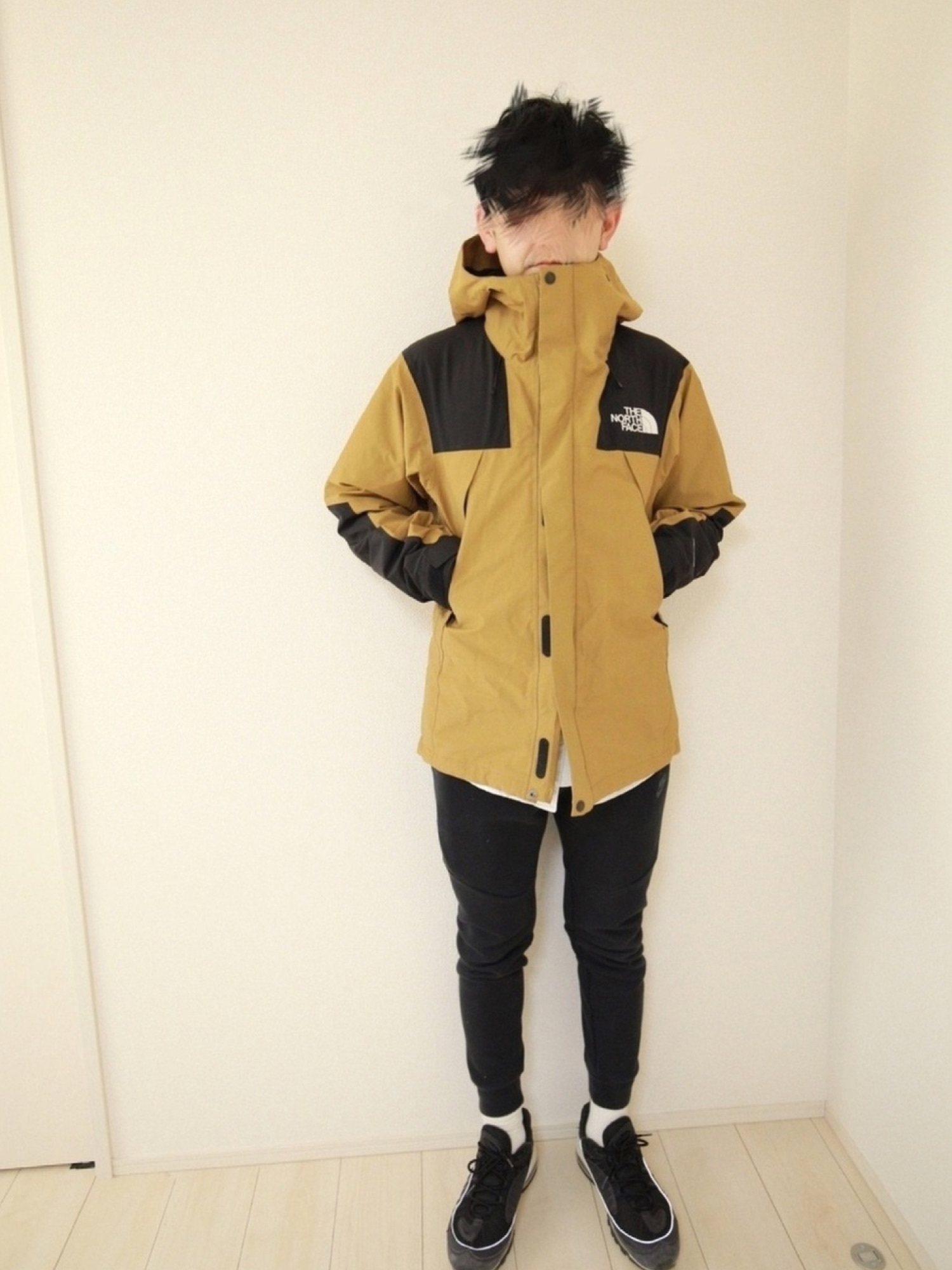 TheNorthFace (ザ・ノースフェイス）Mountain Jacket マウンテン 