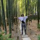 　go satohのアイコン