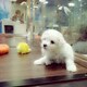 晏也加( ´罒`*)✧のアイコン