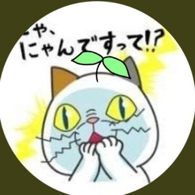 まこ(ฅ^•ω•^ฅﾆｬｰ)毛玉の人