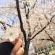 momбのアイコン