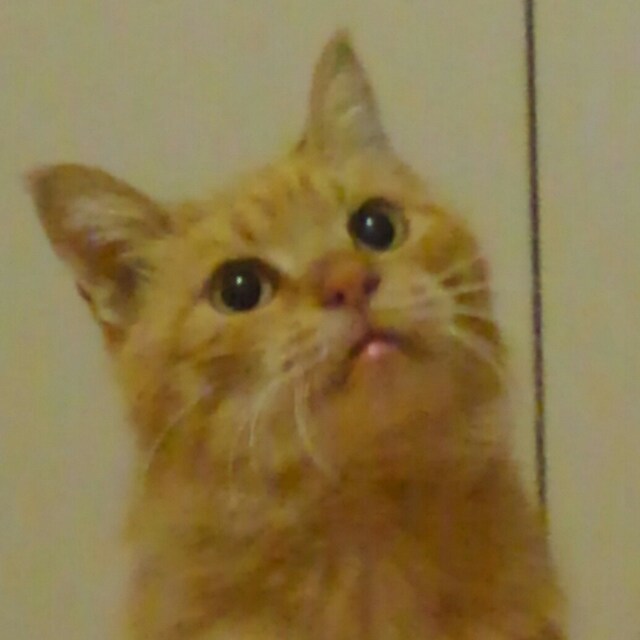 うなぎ
