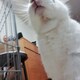 ゆうきのアイコン