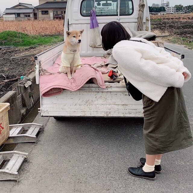 かしばもも