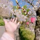 ぱんだのアイコン