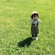 tsumuのアイコン