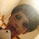 yshd.10のアイコン