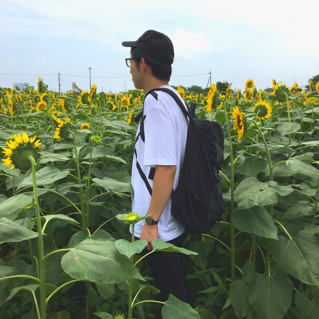 龍隼