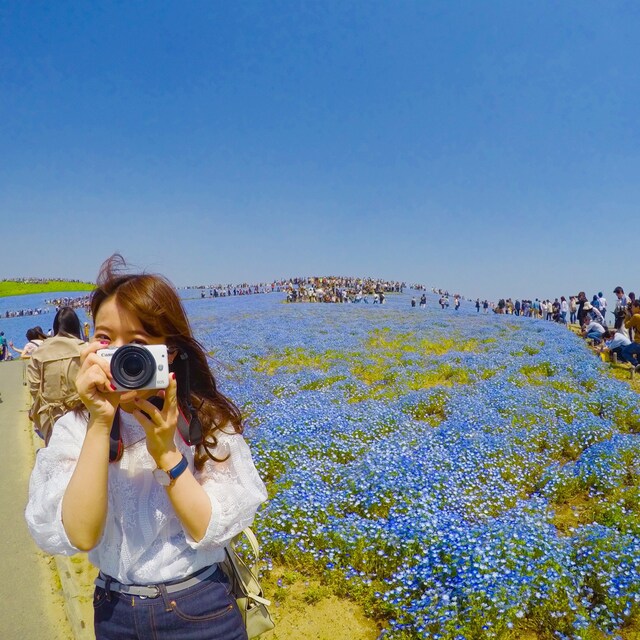 もえ