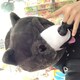 たう。のアイコン