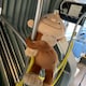 あおくんのアイコン