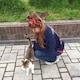 ぞののアイコン