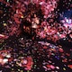 shioponのアイコン