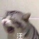 拯救地球的死吗前女友のアイコン