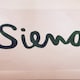 selectshop_sienaのアイコン