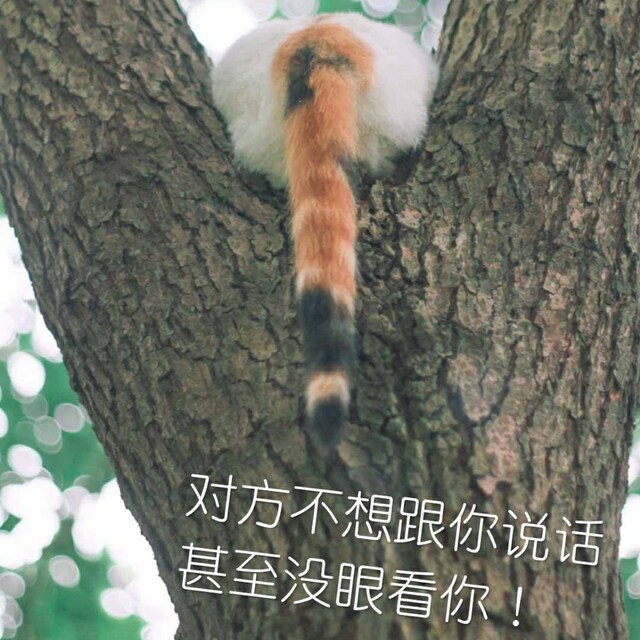 夏天也要白白嫩嫩