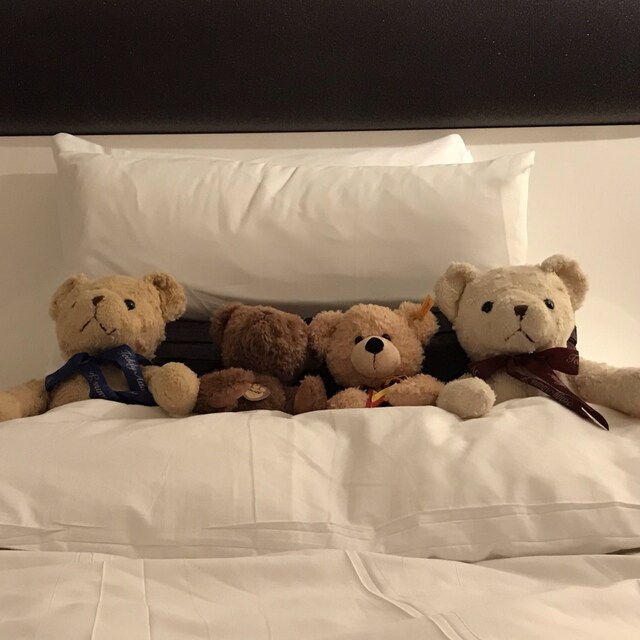 🧸.Q