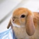 kanaのアイコン