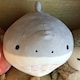 fatbeeeのアイコン