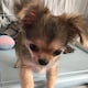 akiyo☆のアイコン