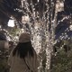 marinaのアイコン