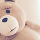 🐻のアイコン