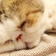 kasumiiiのアイコン