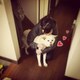 katoのアイコン