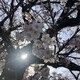 ぽんのアイコン