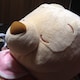 Tachibananaのアイコン
