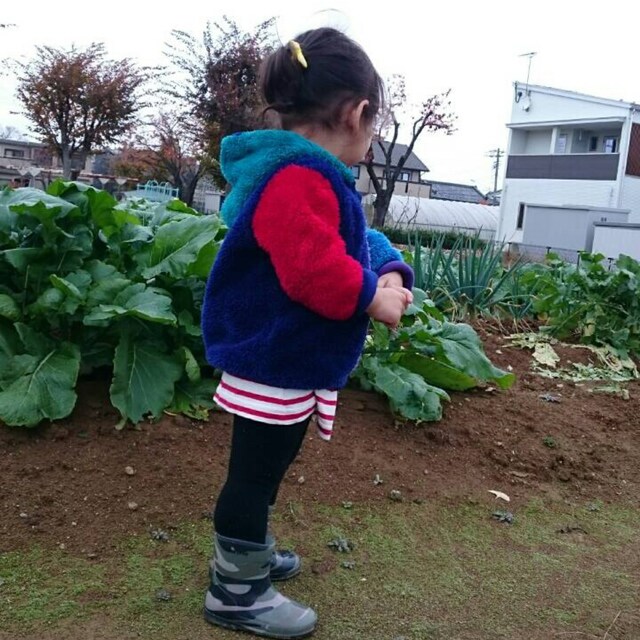 おにぎりんご