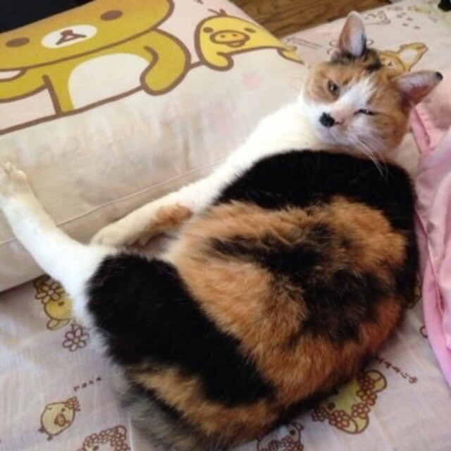 まり