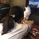しーちゃんのアイコン