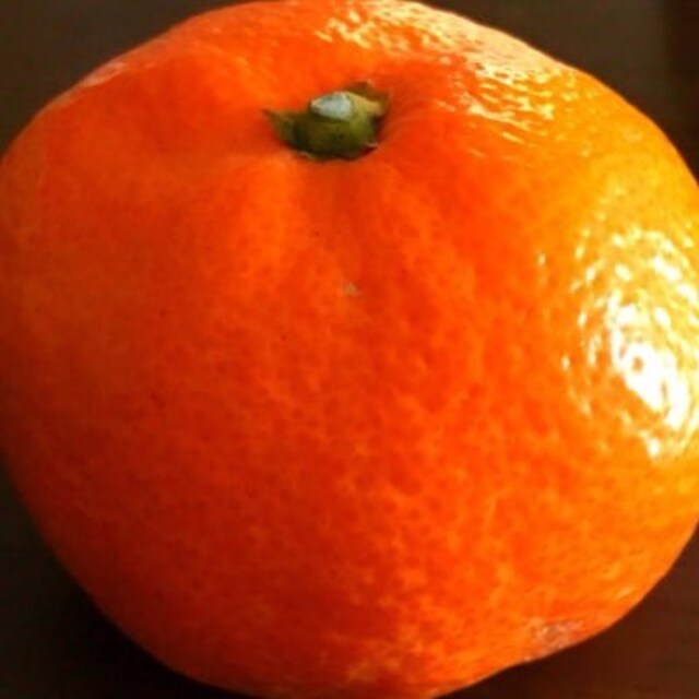 Tattsu- 