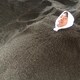 PPPのアイコン