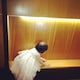 こさしのアイコン