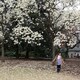 XueQing Fiona Ngのアイコン
