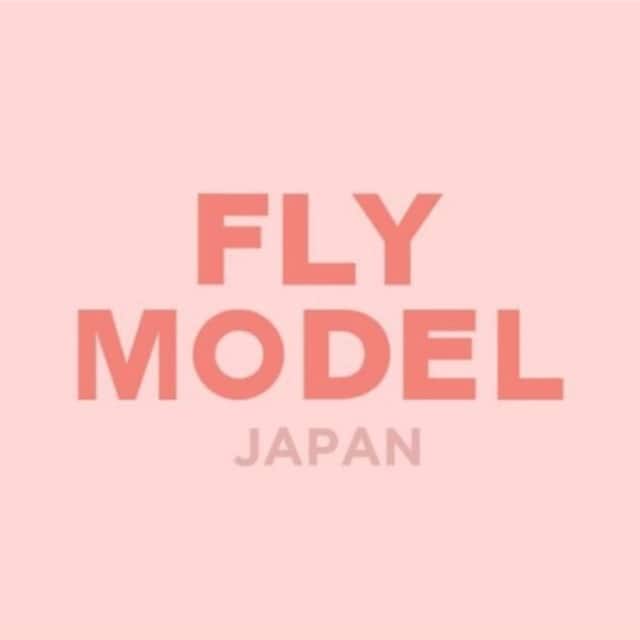 FLYMODEL