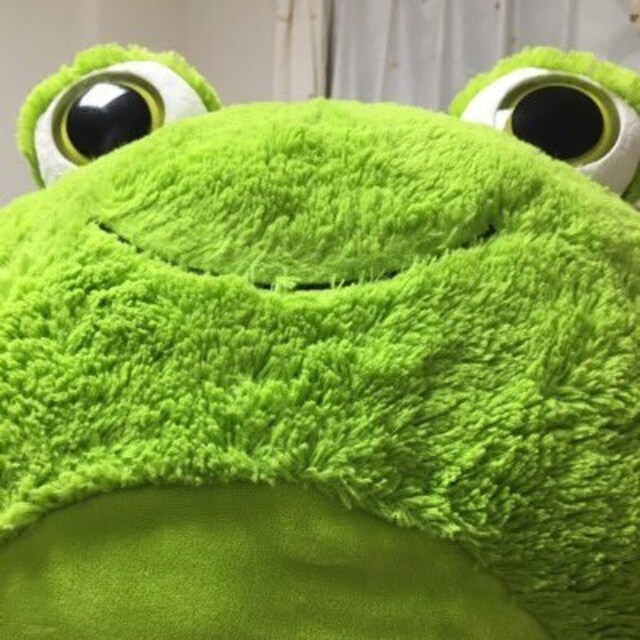 こたろう