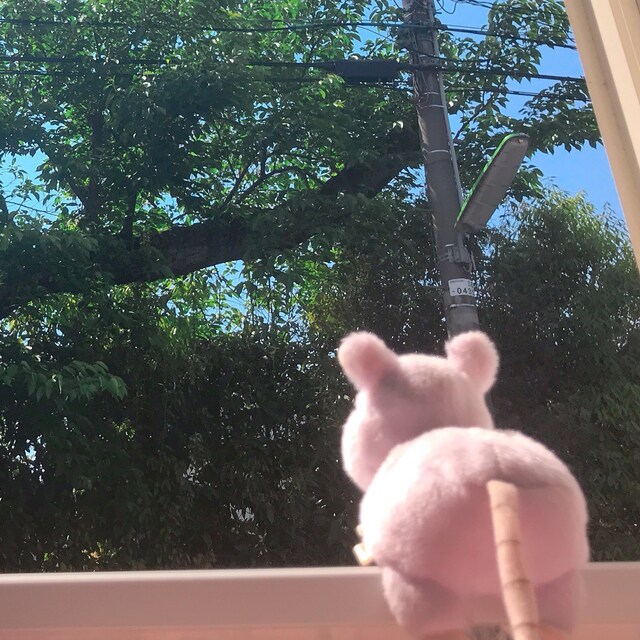 はっぴぃ〜