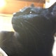 popokichibiのアイコン