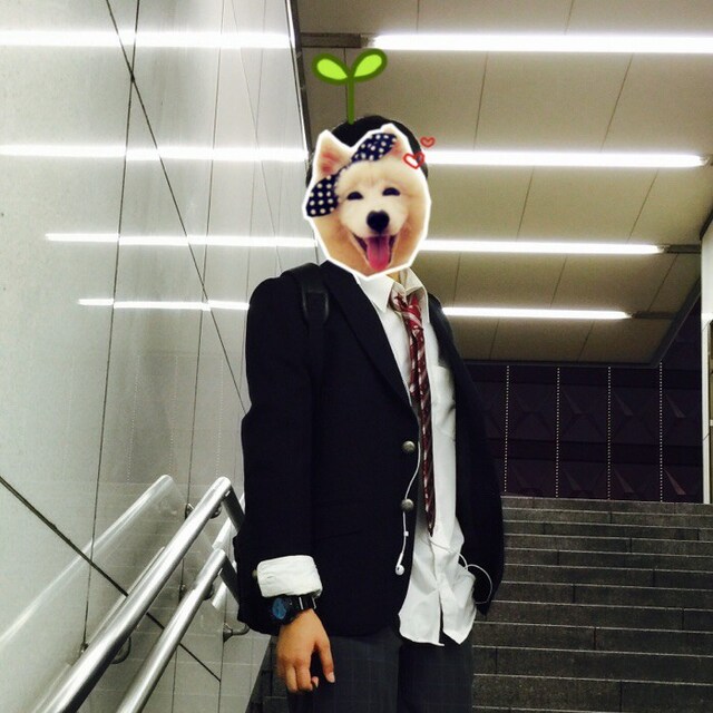ポンジュース