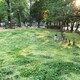 ゆずおのアイコン