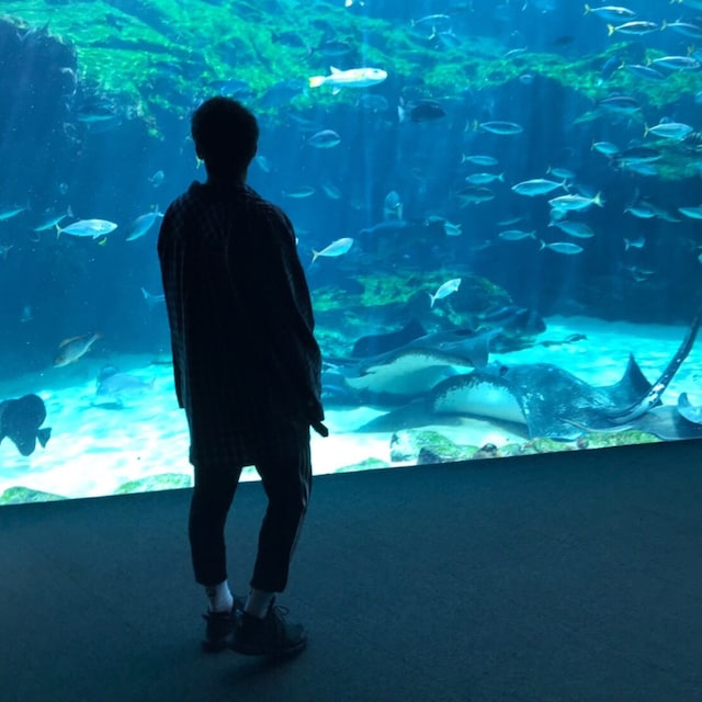 りゅーや