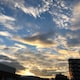 rainbow07のアイコン