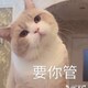 piuoのアイコン