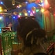 ルンのアイコン