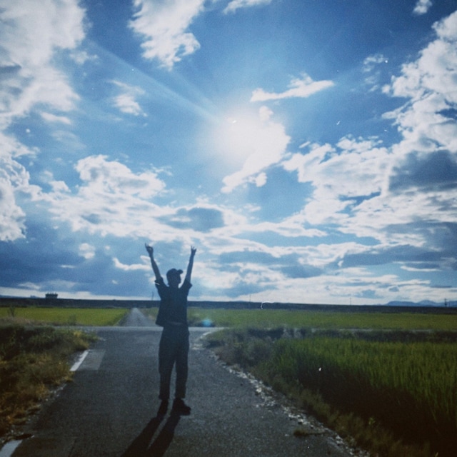 なす。