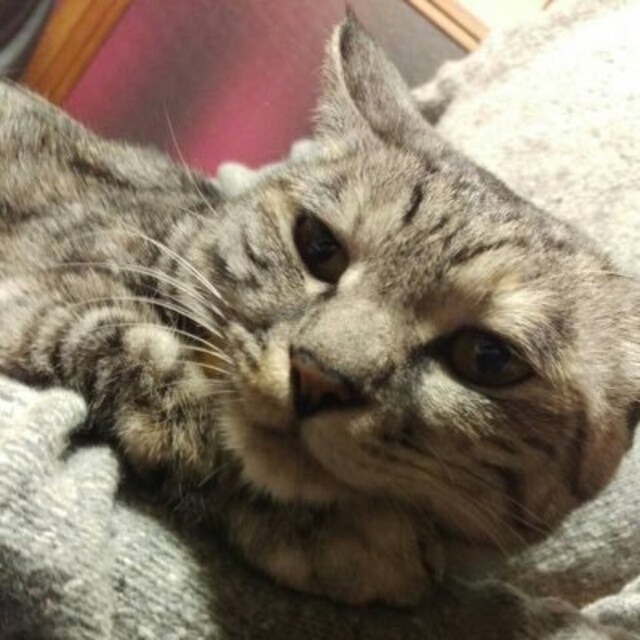 おね